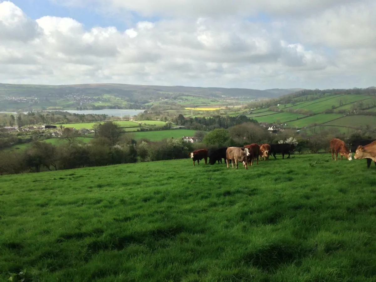 Brinsley Barn Apartment Blagdon 0*,