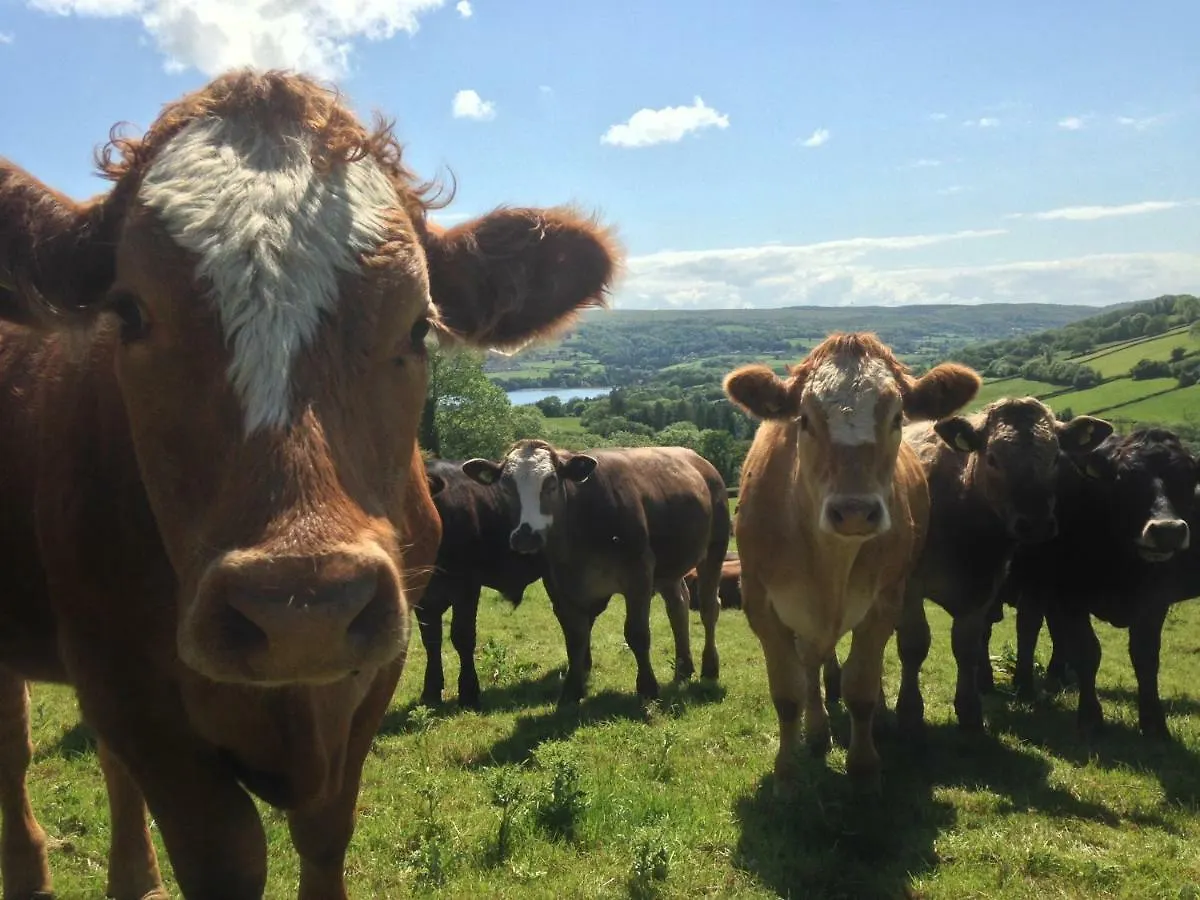 Brinsley Barn Apartment Blagdon
