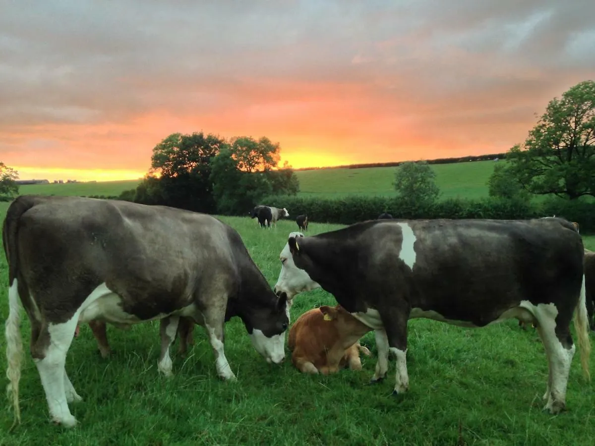 Brinsley Barn Apartment Blagdon