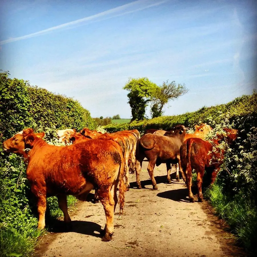 Brinsley Barn Apartment Blagdon 0*,  United Kingdom